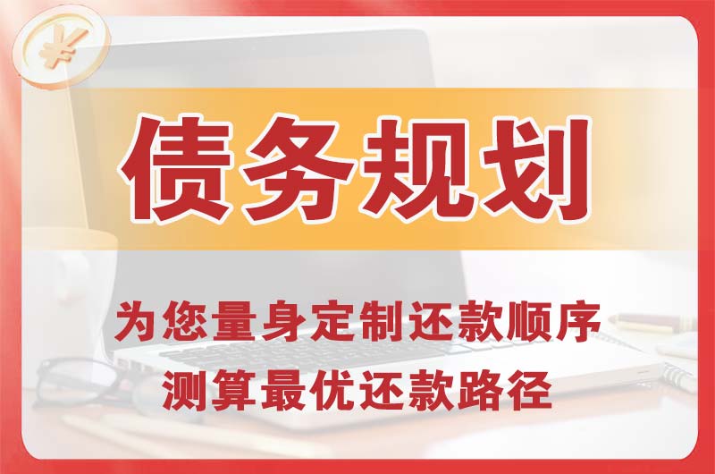 辛集债务规划